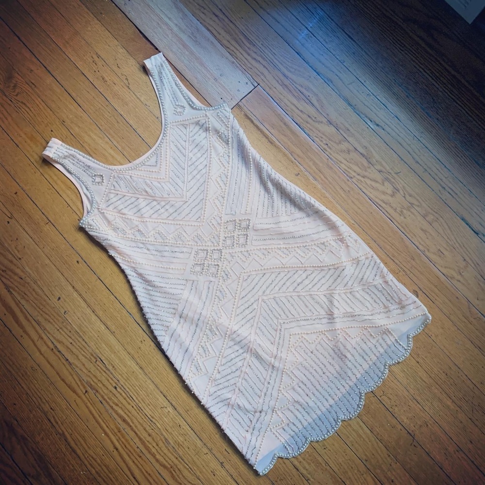 Beautiful Blush Beaded Flapper Dress